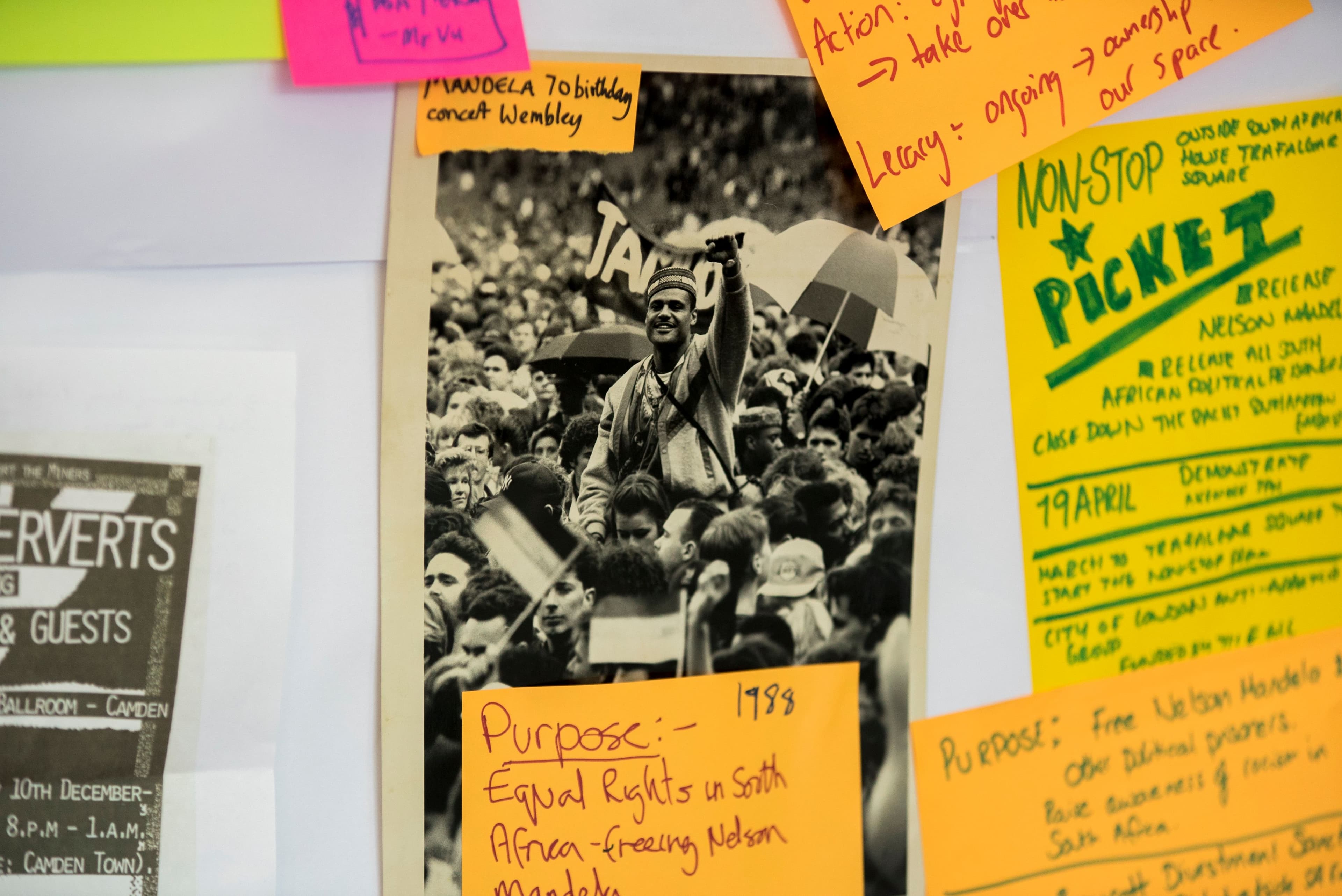 Building Back Stronger